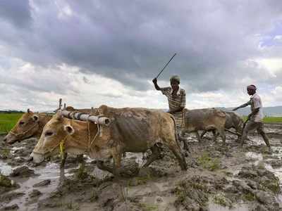 Farmer Apps: ರೈತರಿಗೆ ನೆರವಾಗುವ ವಿವಿಧ ಆ್ಯಪ್‌ಗಳು ಇಲ್ಲಿವೆ..