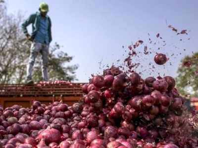 துருக்கி நாட்டு வெங்காயம் இந்தியா வருகிறது!!