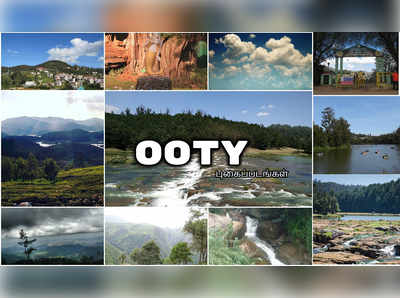 Trip To Ooty : மழையால் ஊட்டி போக முடியலையா? இத பாத்து மனச தேத்திக்கோங்க!