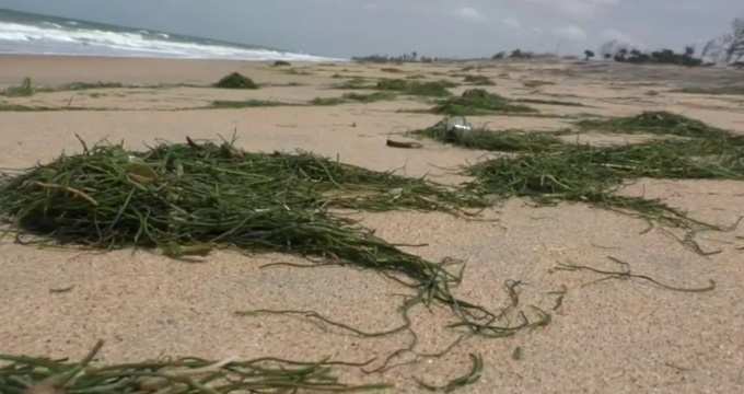 கடலில் நீரோட்டம் அதிகரிப்பு