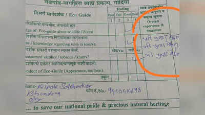 ‘मी पुन्हा येईन’! पर्यटकाचा फिडबॅक व्हायरल