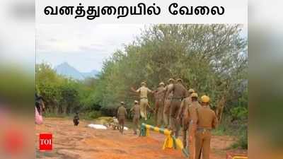 TN Forest Jobs: 12 ஆம் வகுப்பு முடித்தவர்களுக்கு தமிழக வனத்துறையில் வேலை.. எக்கச்சக்க காலியிடங்கள்..