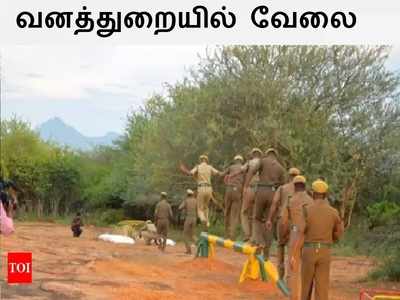 TN Forest Jobs: 12 ஆம் வகுப்பு முடித்தவர்களுக்கு தமிழக வனத்துறையில் வேலை.. எக்கச்சக்க காலியிடங்கள்..