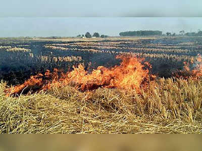 নাড়াপোড়া ধরতে রিমোট সেন্সিঙের ভাবনা পর্ষদের