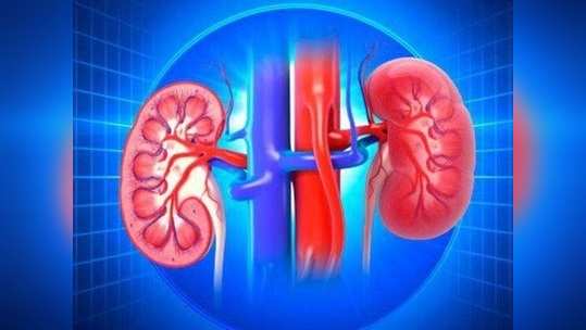 World Kidney Day 2023 : சிறுநீரக கல்: ஆரம்பமும் அறிகுறியும் பிரச்சனைகளும் தீர்வுகளும்!