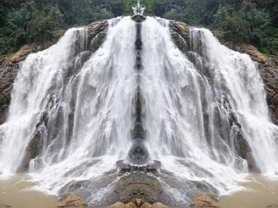 Waterfalls Kerala : மீன்கள் பாறையில் முட்டி நிற்கும் மீன் முட்டி நீர்வீழ்ச்சி செல்வோமா?