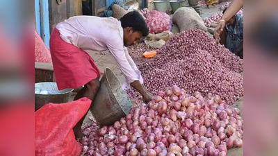 बढ़ी कीमत से संकट: प्याज चोरी रोकने के लिए किसानों ने खेतों में रखे चौकीदार