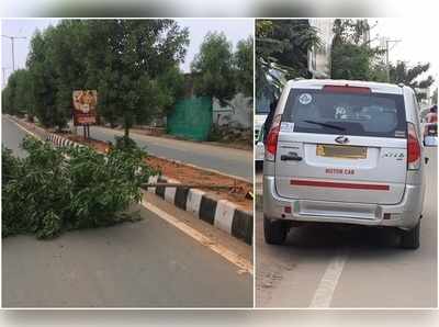 వాహనం ఢీ.. కూలిన హరితహారం మొక్క.. బయోడైవర్సిటీ ఫ్లైఓవర్ ప్రమాదం కంటే భారీ జరిమానా!