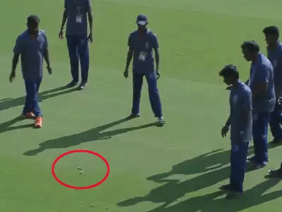 रणजी: एका सापाने थांबवला क्रिकेटचा सामना