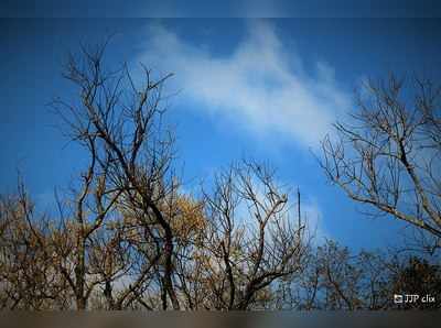 Yercaud Lake, lady seat, killiyur falls :  ஏற்காட்டில் காண வேண்டிய அற்புதமான இடங்கள்