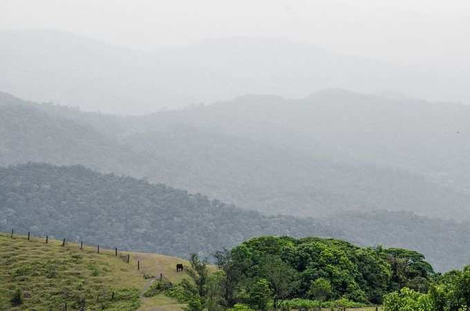 ​சாலைப் போக்குவரத்து