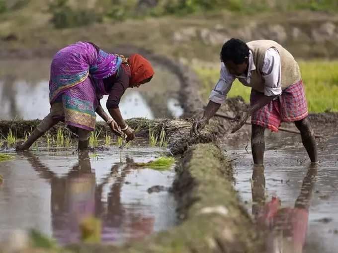 5 కోట్ల మంది అర్హులు