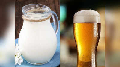 PETA की मानें तो दूध से ज्यादा हेल्दी है बियर, क्या है सच, जानें