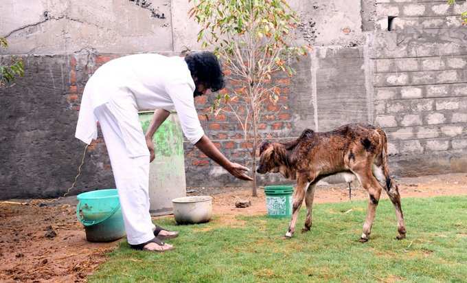 రైతులు లాభసాటి ధర అడగాలి