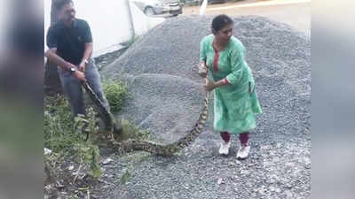 Kerala Women Catch Python : 20 கிலோ மலைப்பாம்பை உயிருடன் பிடித்த பெண்... வைரலாகும் வீடியோ...!