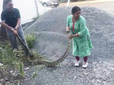 Kerala Women Catch Python : 20 கிலோ மலைப்பாம்பை உயிருடன் பிடித்த பெண்... வைரலாகும் வீடியோ...!