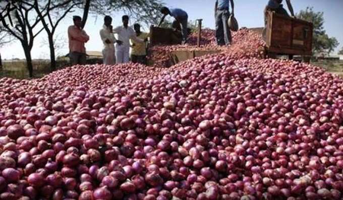 ఆఫ్గన్ నుంచి భారీగా ఉల్లి దిగుమతి