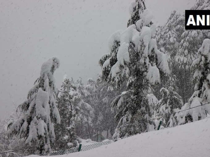 कश्मीर में गिरी बर्फ
