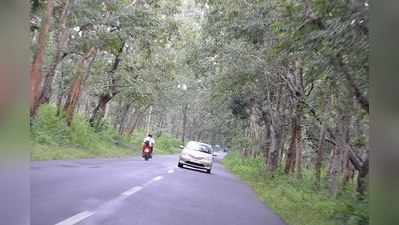 kerala Wildlife: முத்தங்கா காட்டுயிர் பூங்காவுக்கு செல்வோம் வாங்க!