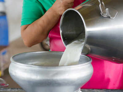 गायीचे दूध २ रुपयांनी महाग; सोमवारपासून नवे दर लागू