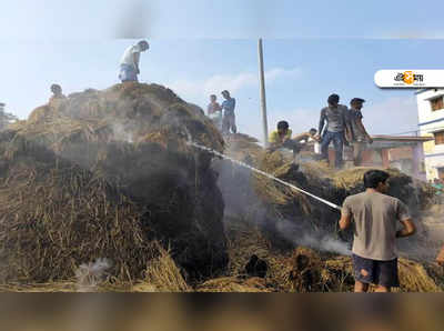 মমতার মামার বাড়িতে আগুন, ১২ বিঘা জমির ধান নষ্টে কি রাজনৈতিক প্রতিহিংসা?