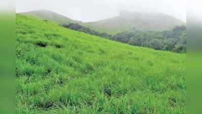 ವೀರಮಲೆ ಅಭಿವೃದ್ಧಿ ಇನ್ನೂ ಗಗನಕುಸುಮ !