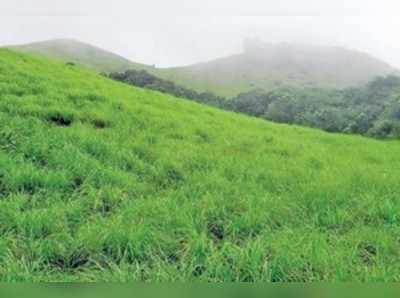 ವೀರಮಲೆ ಅಭಿವೃದ್ಧಿ ಇನ್ನೂ ಗಗನಕುಸುಮ !