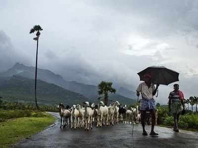 நாளைக்கு மழை எப்படி: சென்னை வானிலை ஆய்வு மையம் தகவல்!