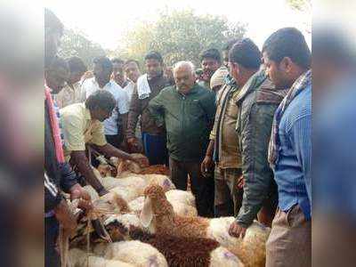 ಹಳ್ಳಿ ಸಂತೆಯಲ್ಲಿ ಕುರಿ ವ್ಯಾಪಾರಕ್ಕಿಳಿದ ಮಾಜಿ ಸ್ಪೀಕರ್‌ ರಮೇಶ್‌ಕುಮಾರ್‌ !