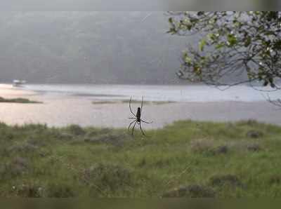 Wayanad Lake : பூக்கோடு ஏரிக்கு உங்கள் குழந்தைகளை அழைத்து போங்க! அப்றம் பாருங்க