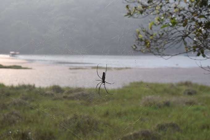 ​பூக்கோட் லேக் எப்போது செல்வது ?