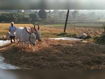 ಉತ್ಪನ್ನಗಳು ದಲ್ಲಾಳಿಗಳ ಪಾಲು; ರೈತರಿಗೆ ಸಿಗುತ್ತಿಲ್ಲ ಯೋಗ್ಯ ದರ