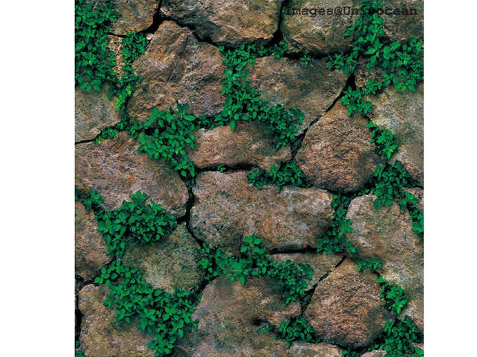 Modern Stone Green Plant Wallpaper, Wall Poster, Wall Sticker,