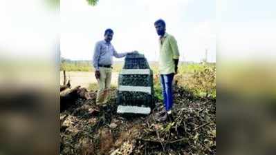 ತೇವರಚಟ್ನಳ್ಳಿಯಲ್ಲಿಸಿಡಿತಲೆ ಶಾಸನ ಪತ್ತೆ