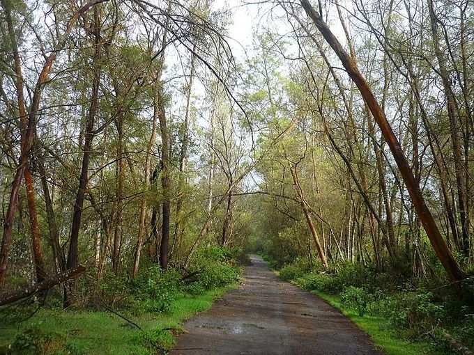 ​அமைதியும் நீர்வீழ்ச்சிகளும்