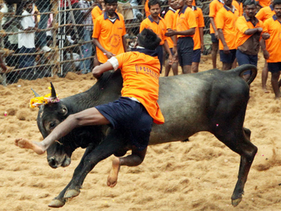 ஜல்லிக்கட்டுக்கு ஆன்லைன் பதிவா? -கொதித்தெழுந்த காளை உரிமையாளர்கள்!!