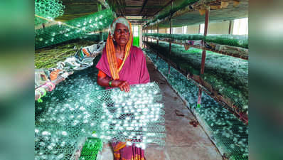 ರೇಷ್ಮೆ ಕೃಷಿಯಲ್ಲಿ ಯಶಸ್ಸು