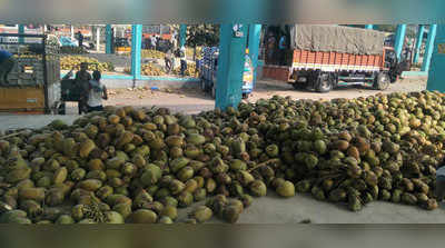 ಎಳನೀರಿಗೆ ದರ ಕುಸಿತದ ಬಿಸಿ