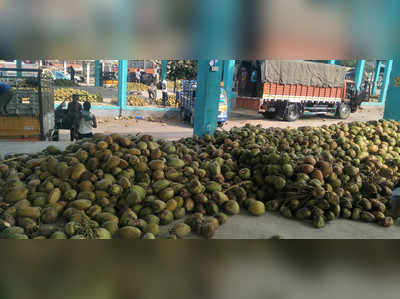 ಎಳನೀರಿಗೆ ದರ ಕುಸಿತದ ಬಿಸಿ