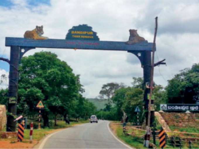 ಬಂಡೀಪುರ ಉದ್ಯಾನದಲ್ಲಿ ಮೋಜಿಗೆ ಬ್ರೇಕ್‌