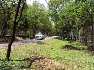 ശര്‍ക്കരയുടേയും ചന്ദനത്തിന്റേയും ഗന്ധമുള്ള മറയൂരിലെ രഹസ്യങ്ങള്‍