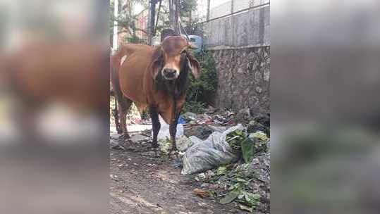 वर्षे बदलले तरी समस्या सुटेना