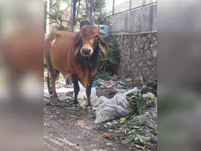 वर्षे बदलले तरी समस्या सुटेना