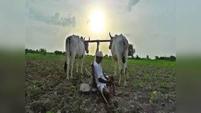 महाराष्‍ट्र में सत्‍ता के लिए लड़ रहे थे नेता, 300 किसानों ने की आत्‍महत्‍या