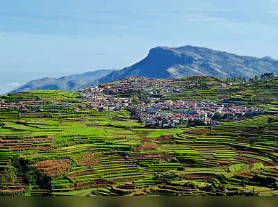 ಕೊಡೈಕೆನಾಲ್‌ನ ಈ ಸ್ಥಳಗಳ ಸ್ಪೆಷಾಲಿಟಿ ಏನು ಗೊತ್ತಾ?