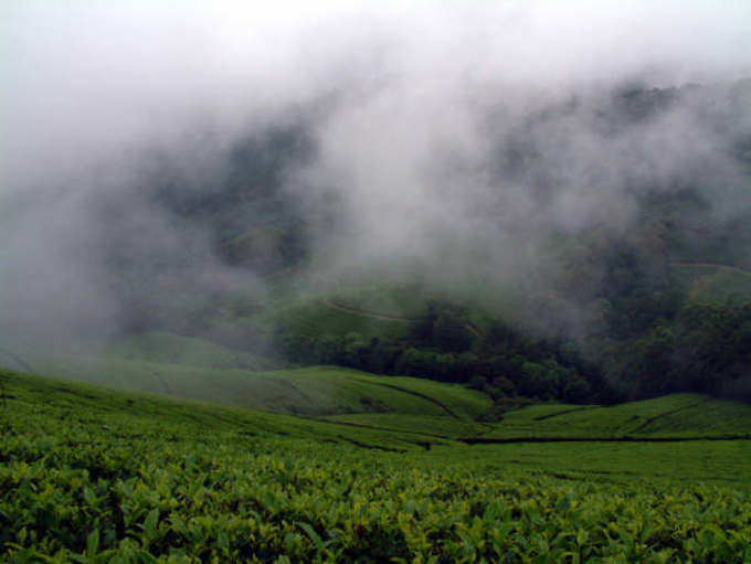 ​ಪಶ್ಚಿಮ ಘಟ್ಟದಲ್ಲಿ ನೆಲೆಗೊಂಡಿರುವ ಮೇಘಮಲೈ