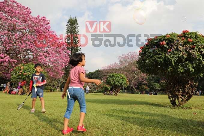 ಕಣ್ಮನ ಸೆಳೆಯುವ ಪುಷ್ಪಗಳು