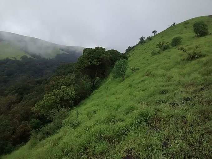 ​ಮೂಕಾಂಬಿಕಾ ರಾಷ್ಟ್ರೀಯ ಉದ್ಯಾನ