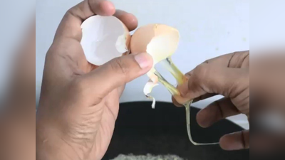 बाजार में मिल रहे प्‍लास्टिक के बने चायनीज अंडे, रहें सावधान