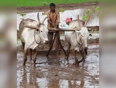 ಕಿಸಾನ್‌ಗೆ ಸಮ್ಮಾನ್‌ ಖುಷಿ